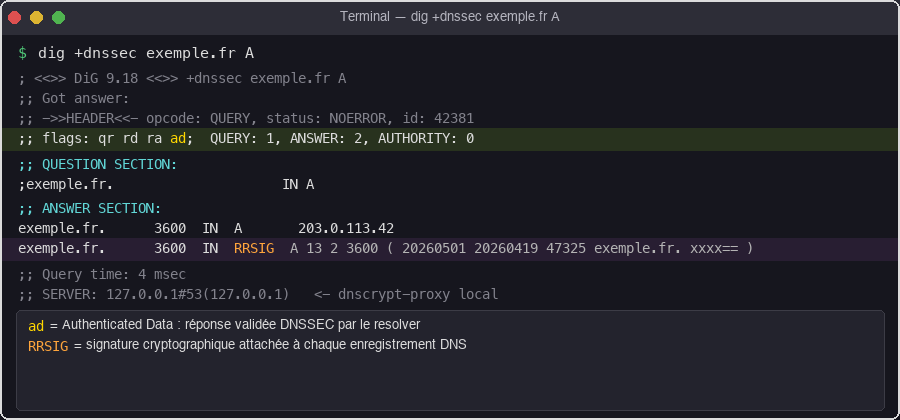 Sortie `dig +dnssec` — le flag `ad` confirme la validation DNSSEC bout en bout