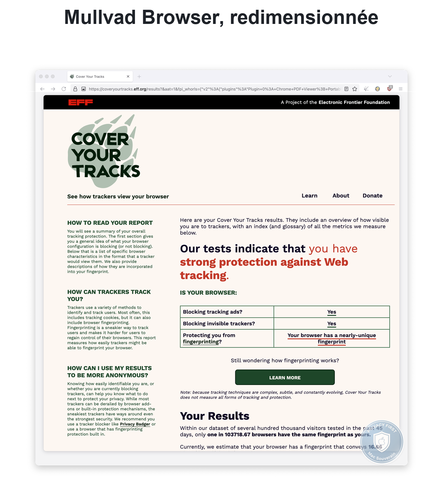 The same Mullvad Browser, window resized, the coveryourtracks test returns a nearly-unique fingerprint